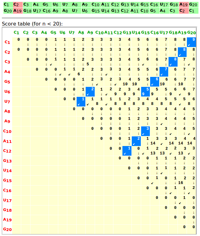 dynamic programming for RNA