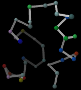 alpha-carbon protein model